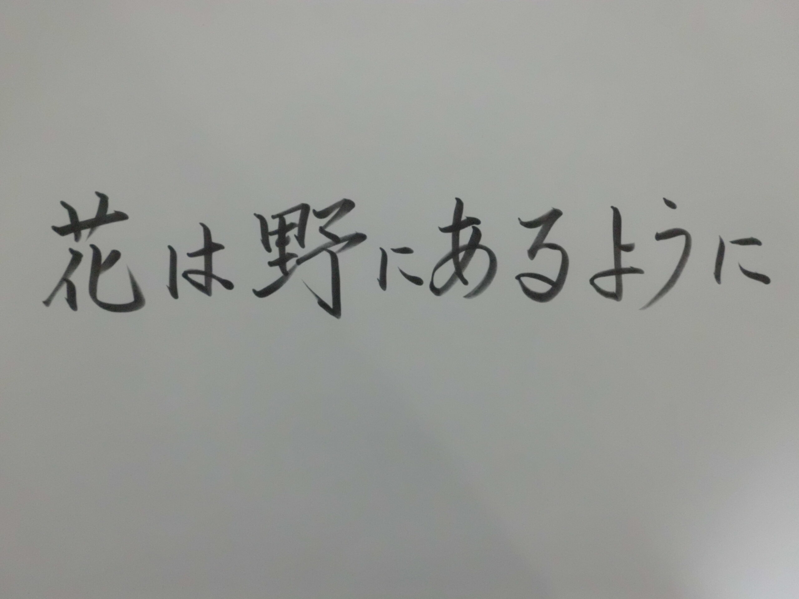 花は野にありて 花は野にあるように | 茶屋すずわ